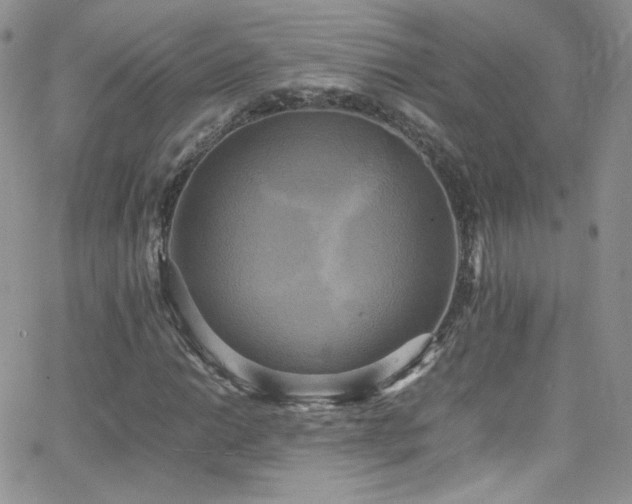 X0000066521014200603201318