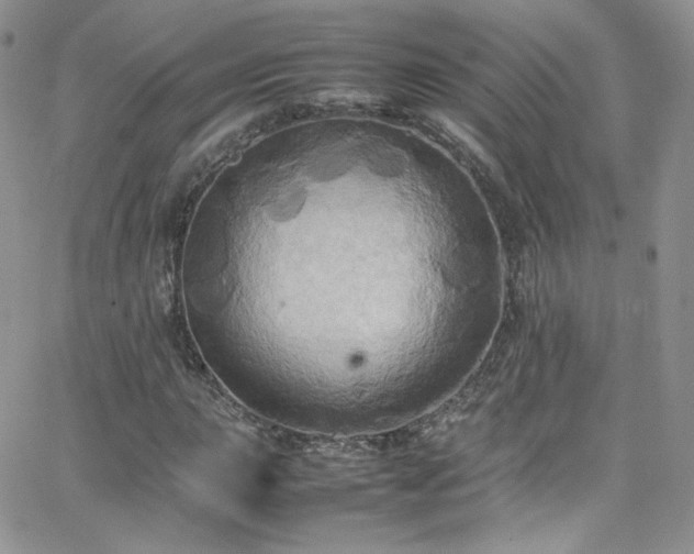 X0000066521015200603201318