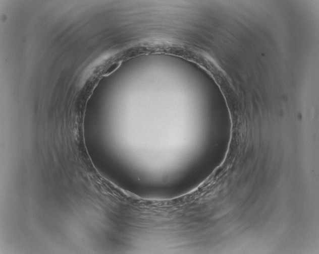 X0000066521016200603201318