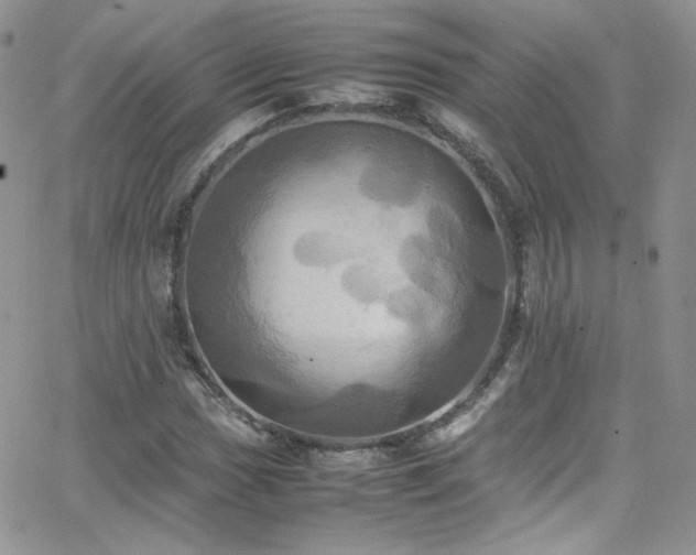 X0000066521017200603201318