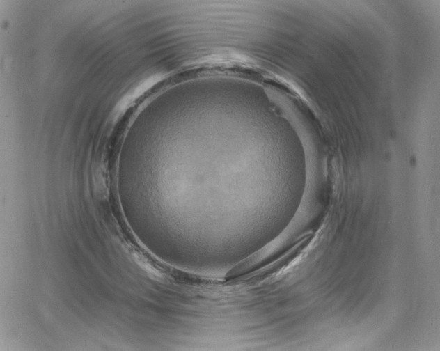 X0000066521018200603201318