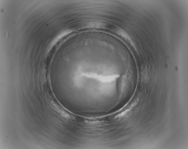 X0000066521019200603201318