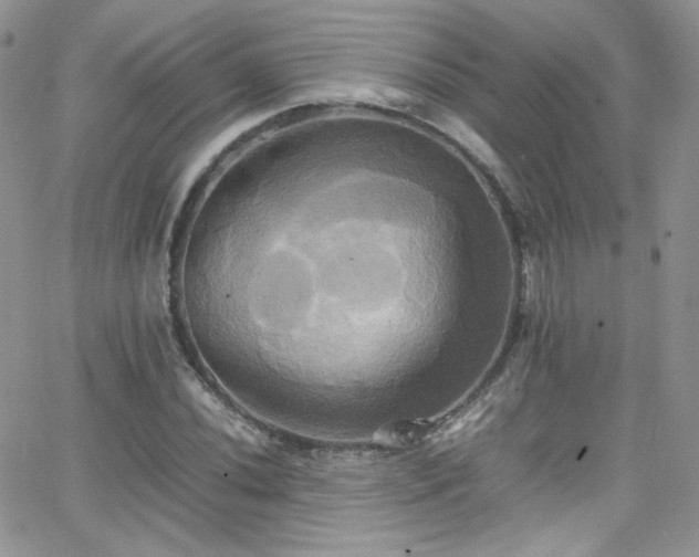 X0000066521020200603201318