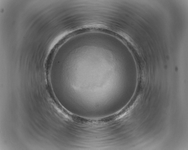 X0000066521022200603201318