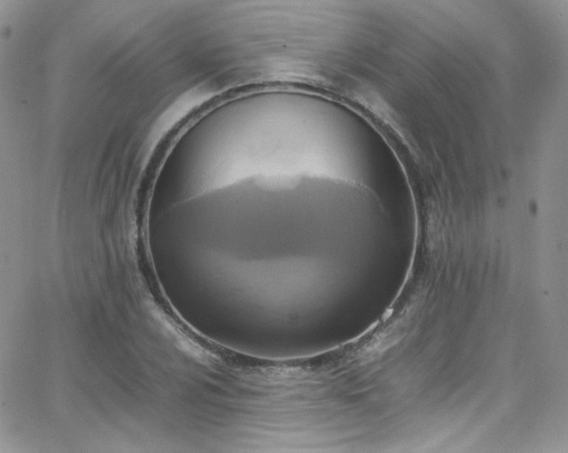 X0000066521024200603201318