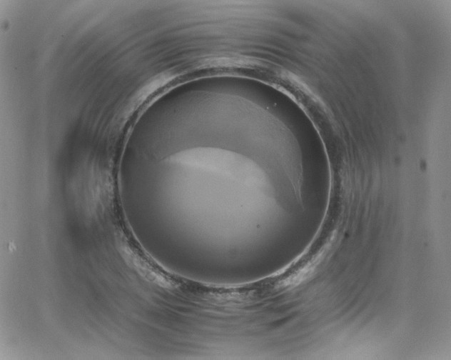 X0000066521025200603201318