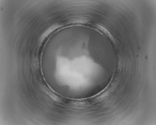 X0000066521027200603201318