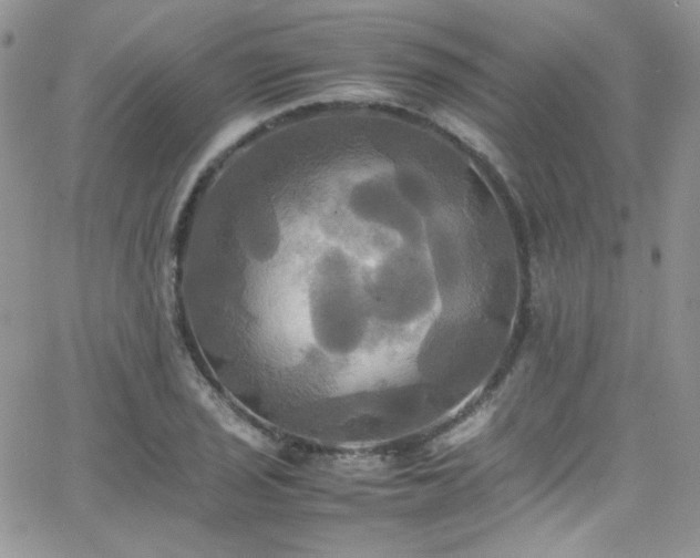 X0000066521029200603201318