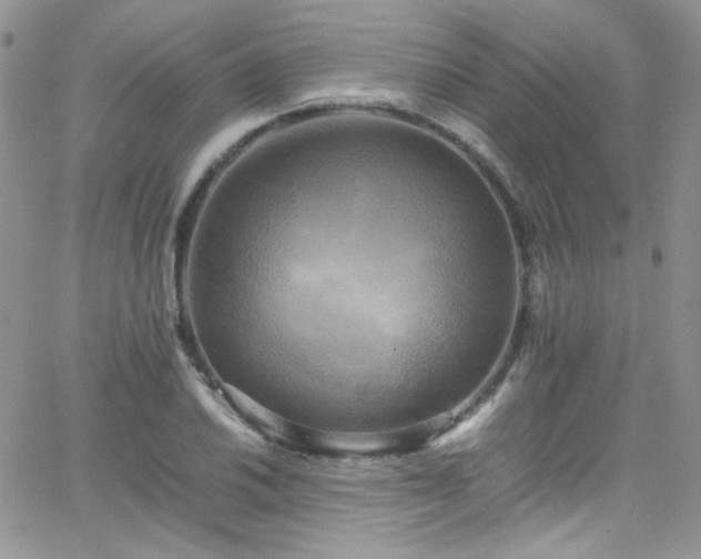 X0000066521030200603201318