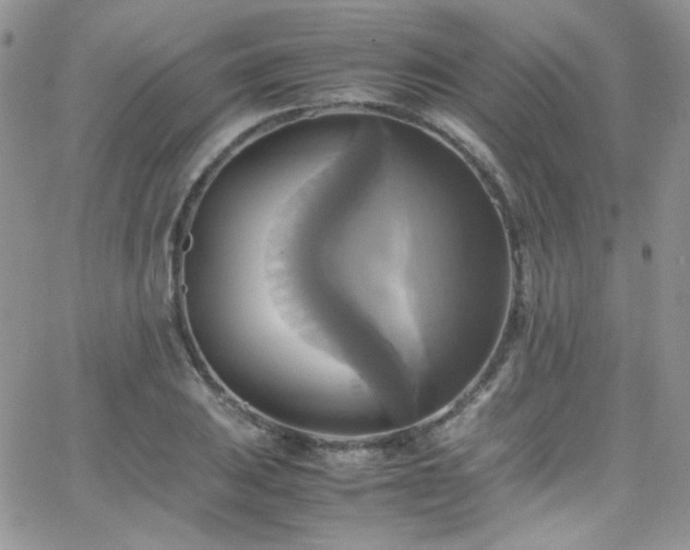 X0000066521031200603201318