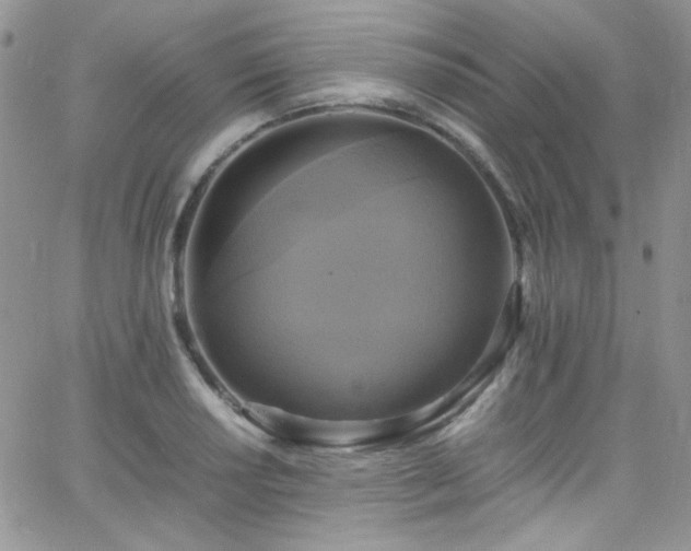 X0000066521034200603201318