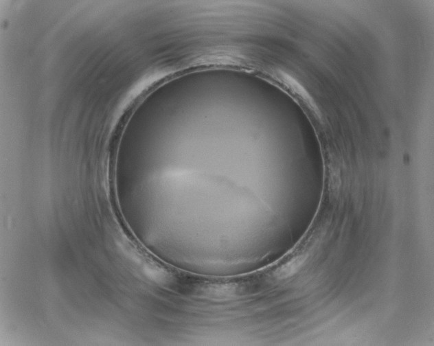 X0000066521035200603201318