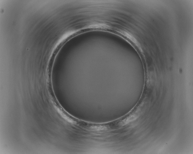 X0000066521037200603201318