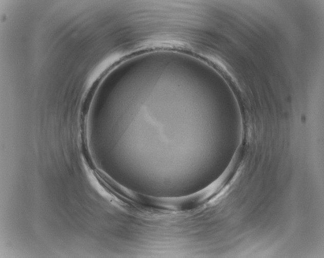 X0000066521038200603201318