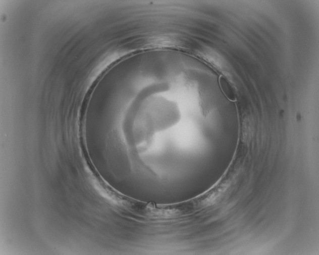 X0000066521039200603201318