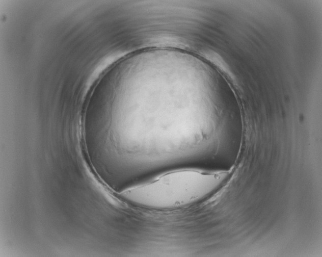 X0000066521040200603201318