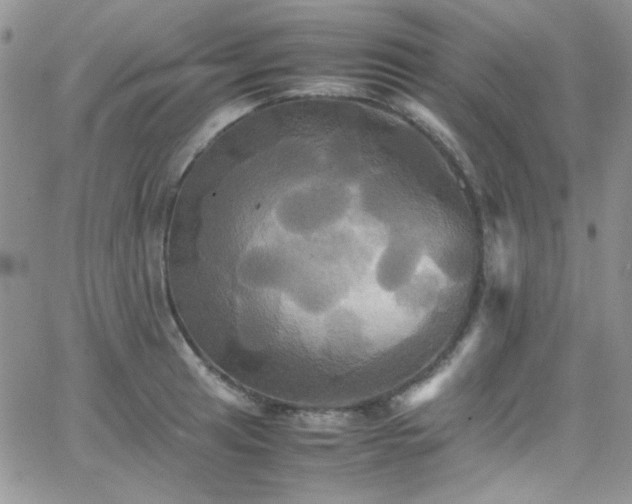 X0000066521041200603201318