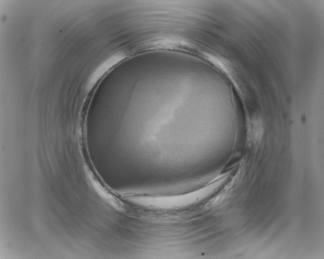 X0000066521042200603201318