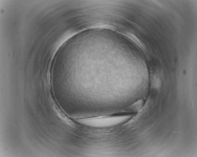 X0000066521044200603201318