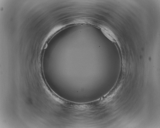 X0000066521045200603201318