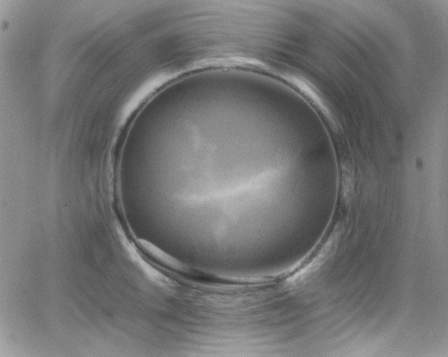 X0000066521046200603201318