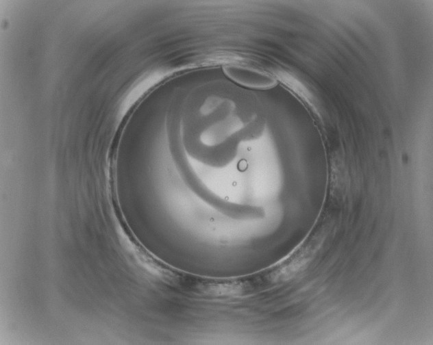 X0000066521047200603201318