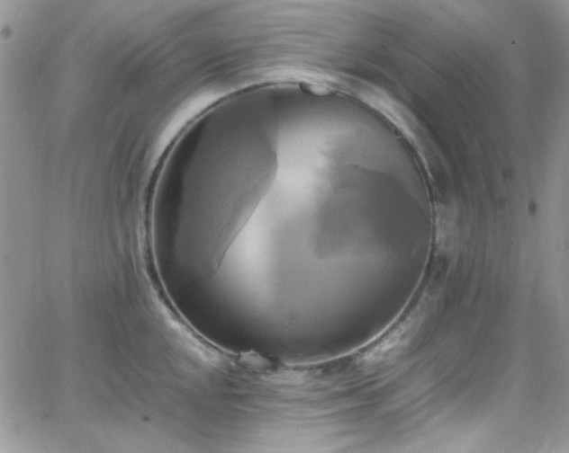 X0000066521048200603201318