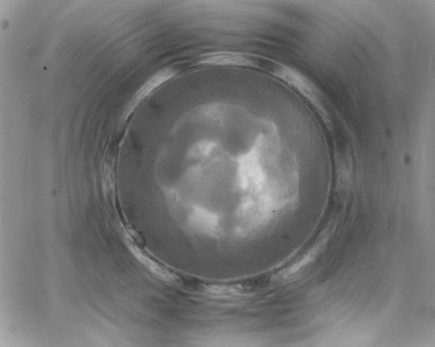 X0000066521049200603201318