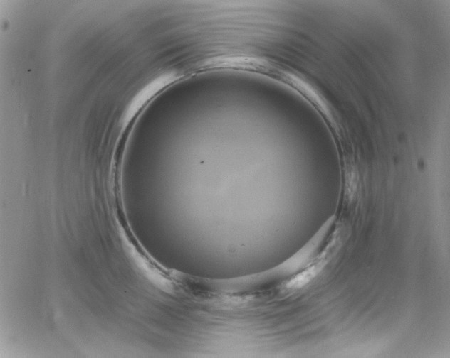 X0000066521050200603201318