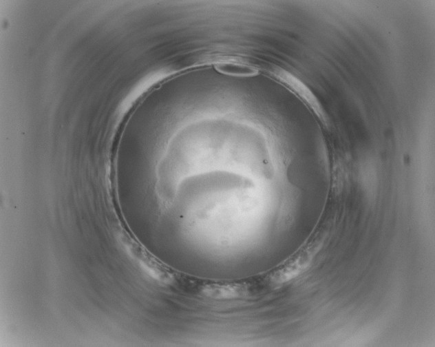 X0000066521051200603201319