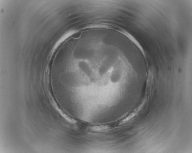 X0000066521053200603201319