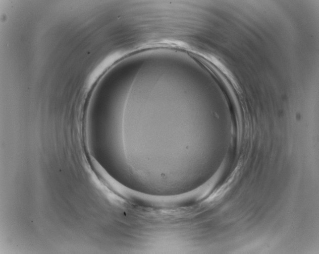 X0000066521054200603201319