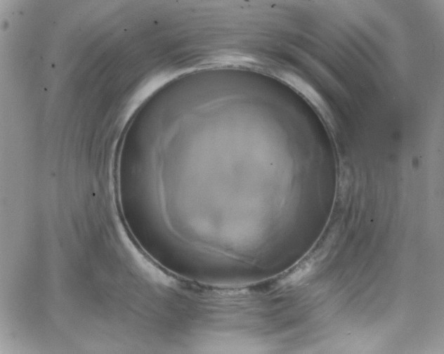 X0000066521055200603201319