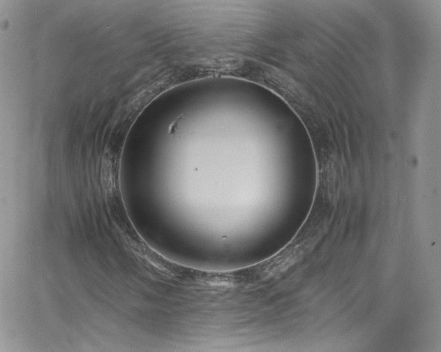 X0000066521058200603201318