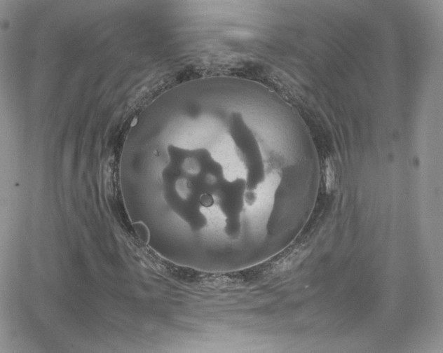 X0000066521059200603201318