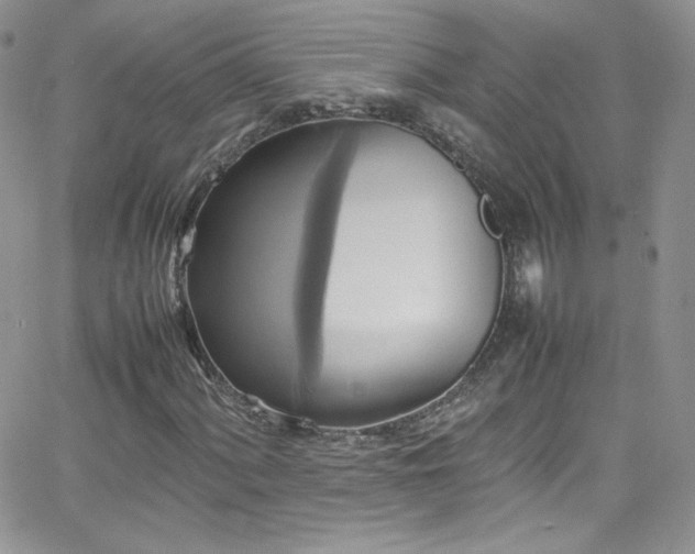 X0000066521060200603201318