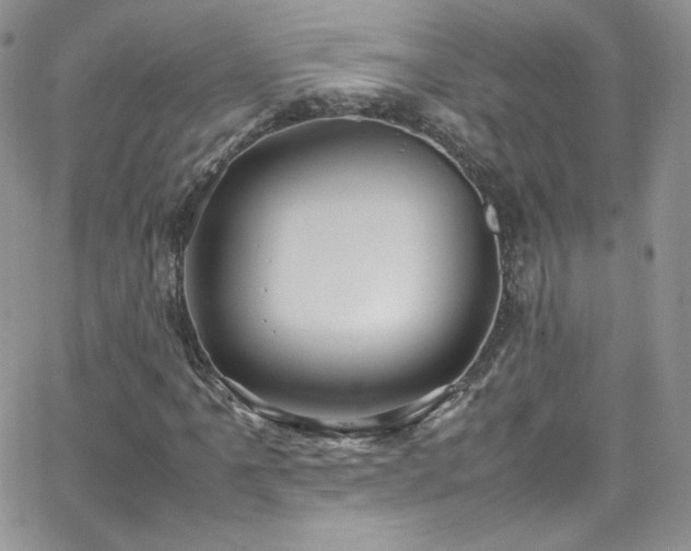 X0000066521061200603201318