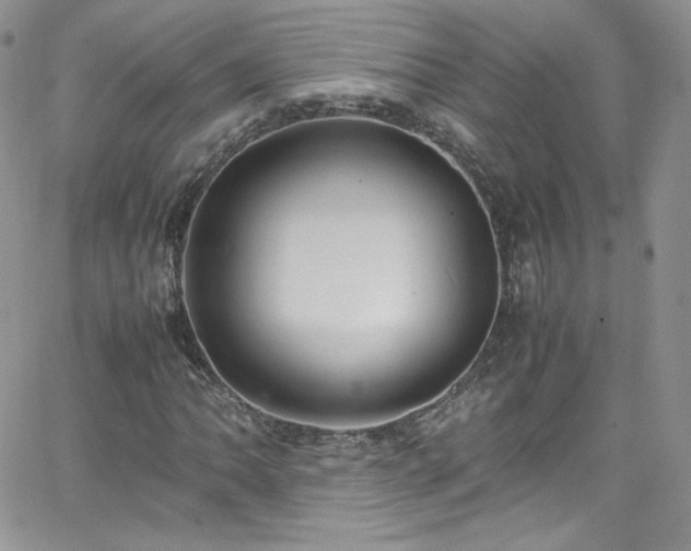 X0000066521062200603201318