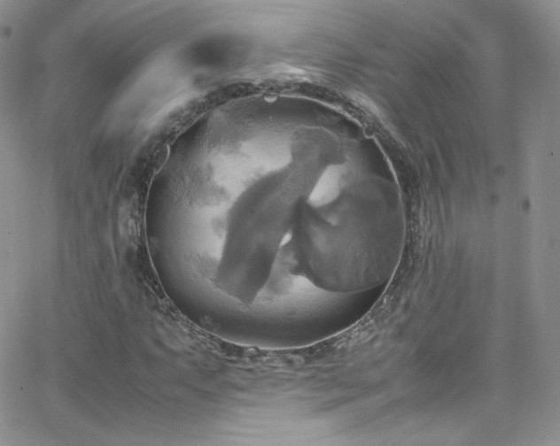 X0000066521063200603201318