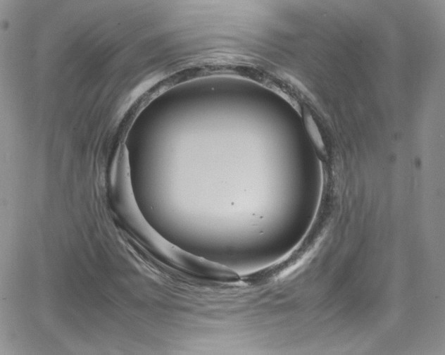 X0000066521065200603201318