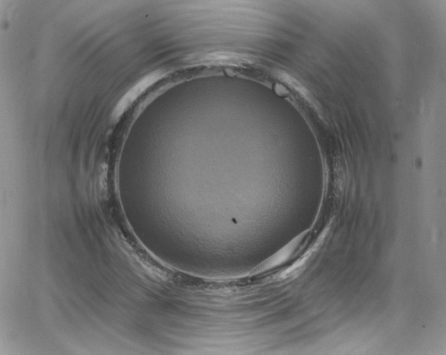 X0000066521066200603201318