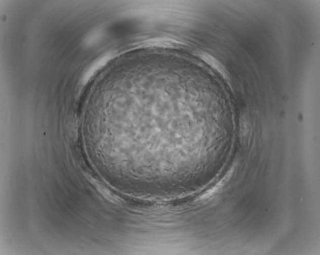 X0000066521067200603201318