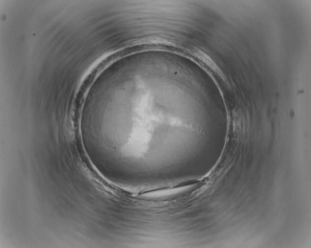 X0000066521068200603201318