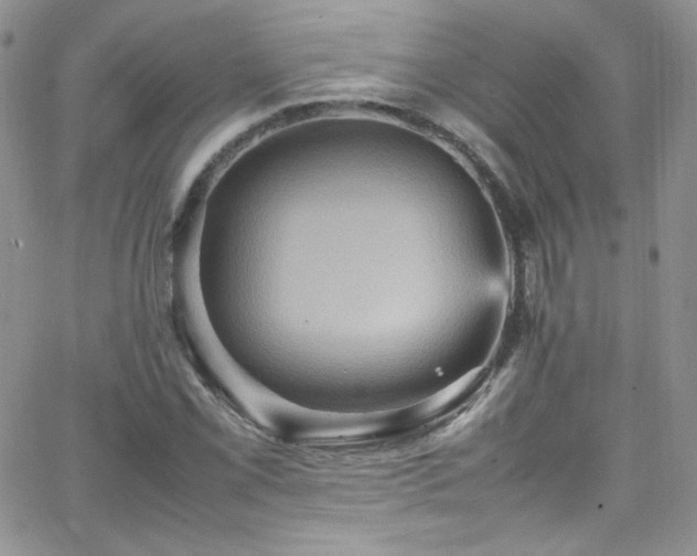 X0000066521069200603201318