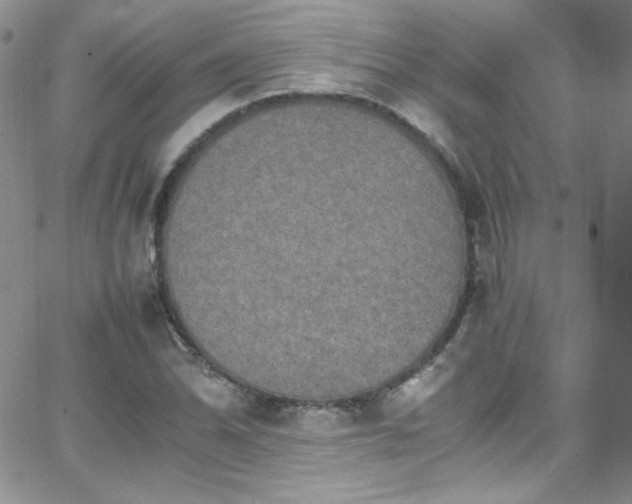 X0000066521070200603201318