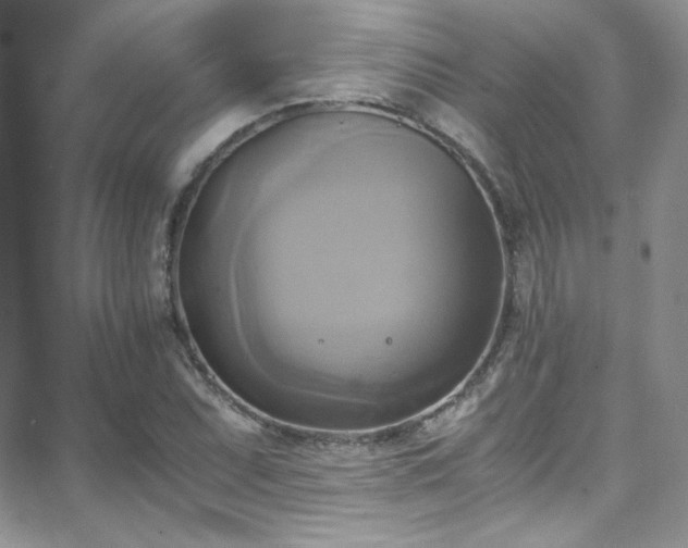 X0000066521071200603201318