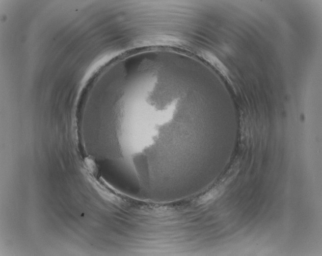 X0000066521072200603201318