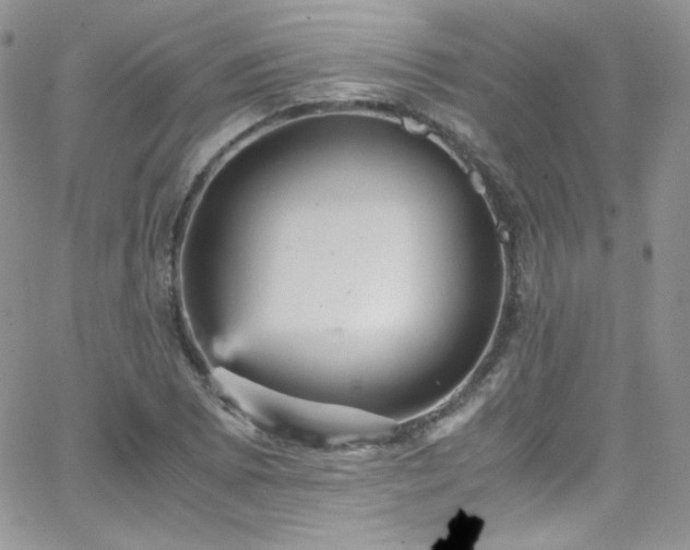 X0000066521073200603201318