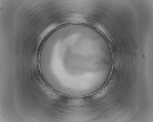 X0000066521074200603201318