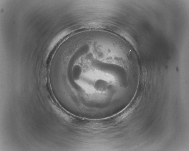 X0000066521075200603201317